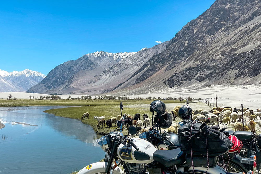 Discover Leh: Himalayan Getaway